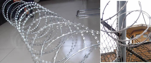 5月1日12时起瑞安进入海洋伏季休渔期